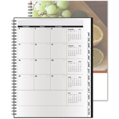 TheAnalyst™ ClearView™ Monthly Planner (8.5"x11")-1